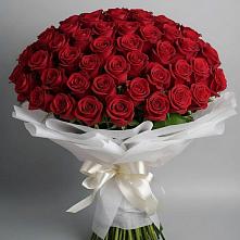 Букет 101 Красная роза Блэк Мэджик #REPLACE_PRED# Стрижах