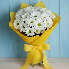 Букет цветов из:  Хризантемы в Стрижах