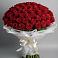 Букет 101 Красная роза Блэк Мэджик в Стрижах