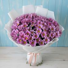 Букет цветов из:  Хризантемы в Стрижах