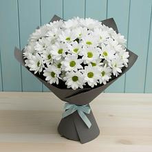 Букет цветов из:  Хризантемы #REPLACE_PRED# Стрижах