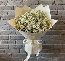 Букет цветов из:  Ромашки в Стрижах