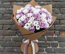 Букет цветов из:  Хризантемы в Стрижах