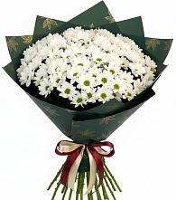 Букет цветов из:  Хризантемы в Стрижах