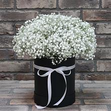 Цветочная композиция из Гипсофила в шляпной коробке в Стрижах