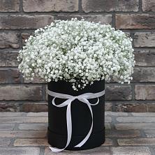 Цветочная композиция из Гипсофила в шляпной коробке в Стрижах