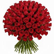 Букет Красные розы Чери Лав в Стрижах