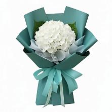 Букет цветов из:  Гортензия в Стрижах